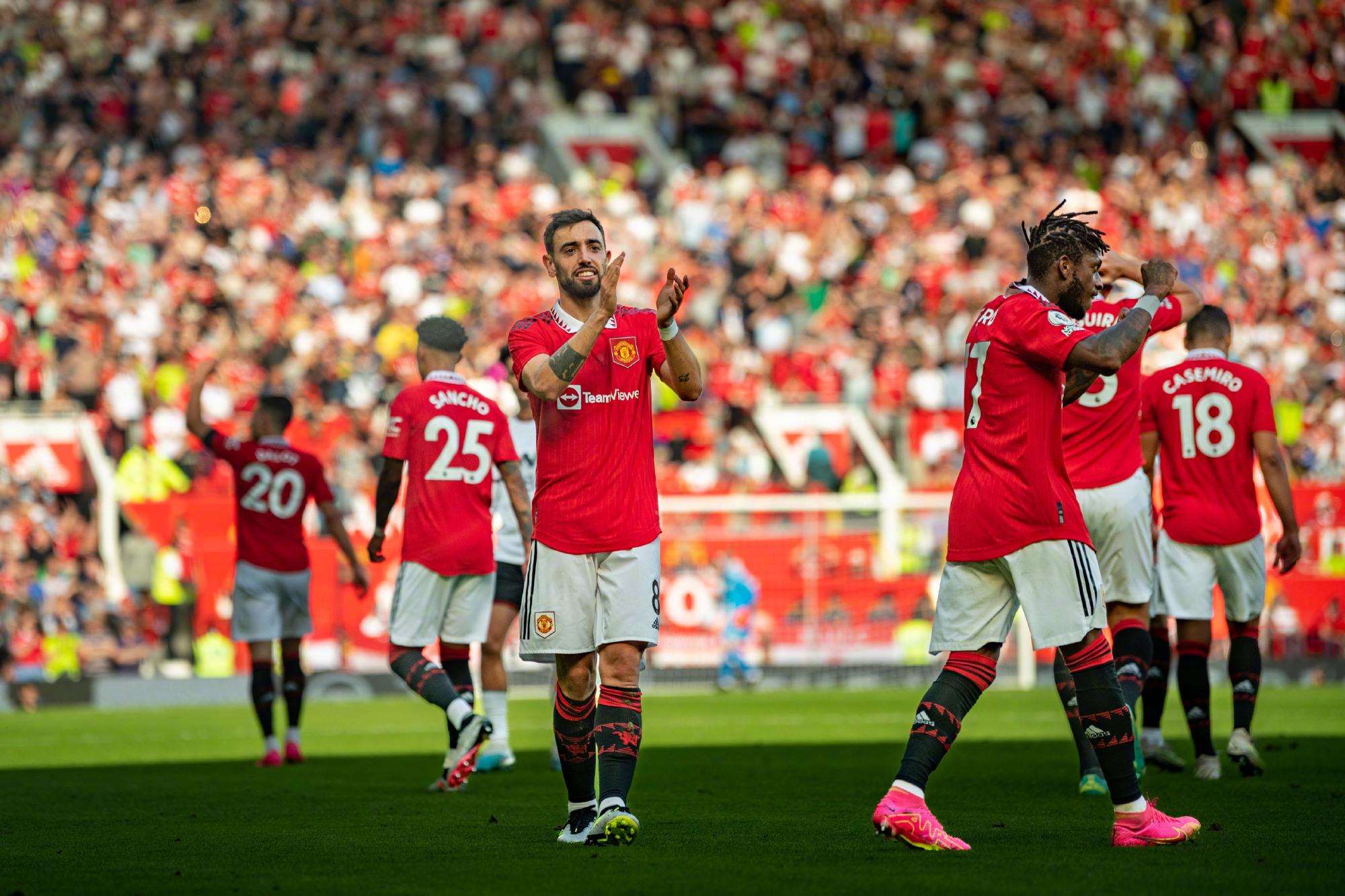 的团队阵容 的团队阵容